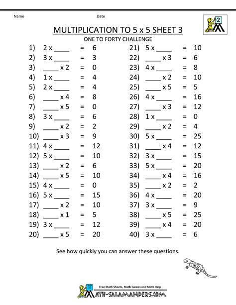 salamander math